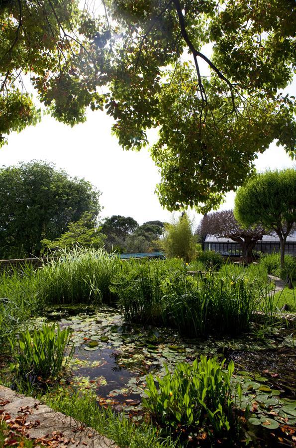 Appartamento Casa Rosa *